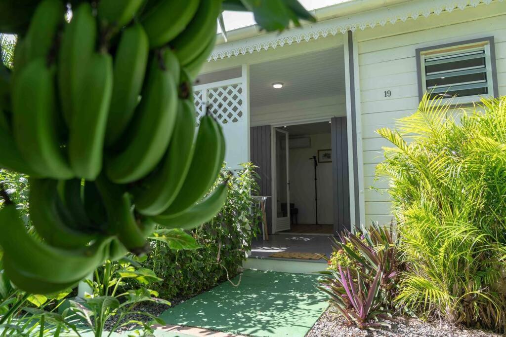 Perle Des Caraibes, Bungalow Moderne N°18 Le Gosier  Kültér fotó